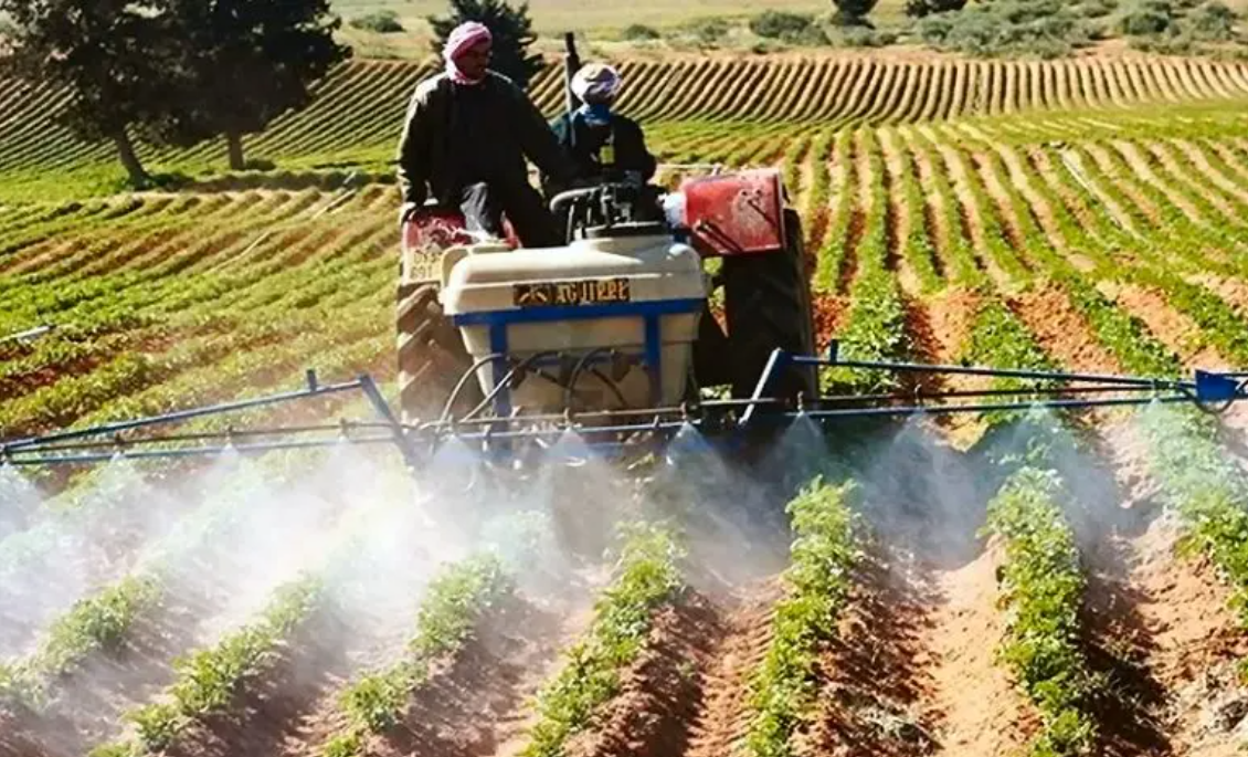 Agriculture Burkina Faso